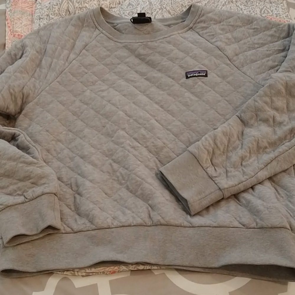 Patagonia sweatshirt